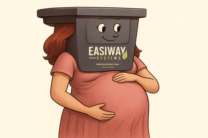Avoid Dip Tank Pregnancy