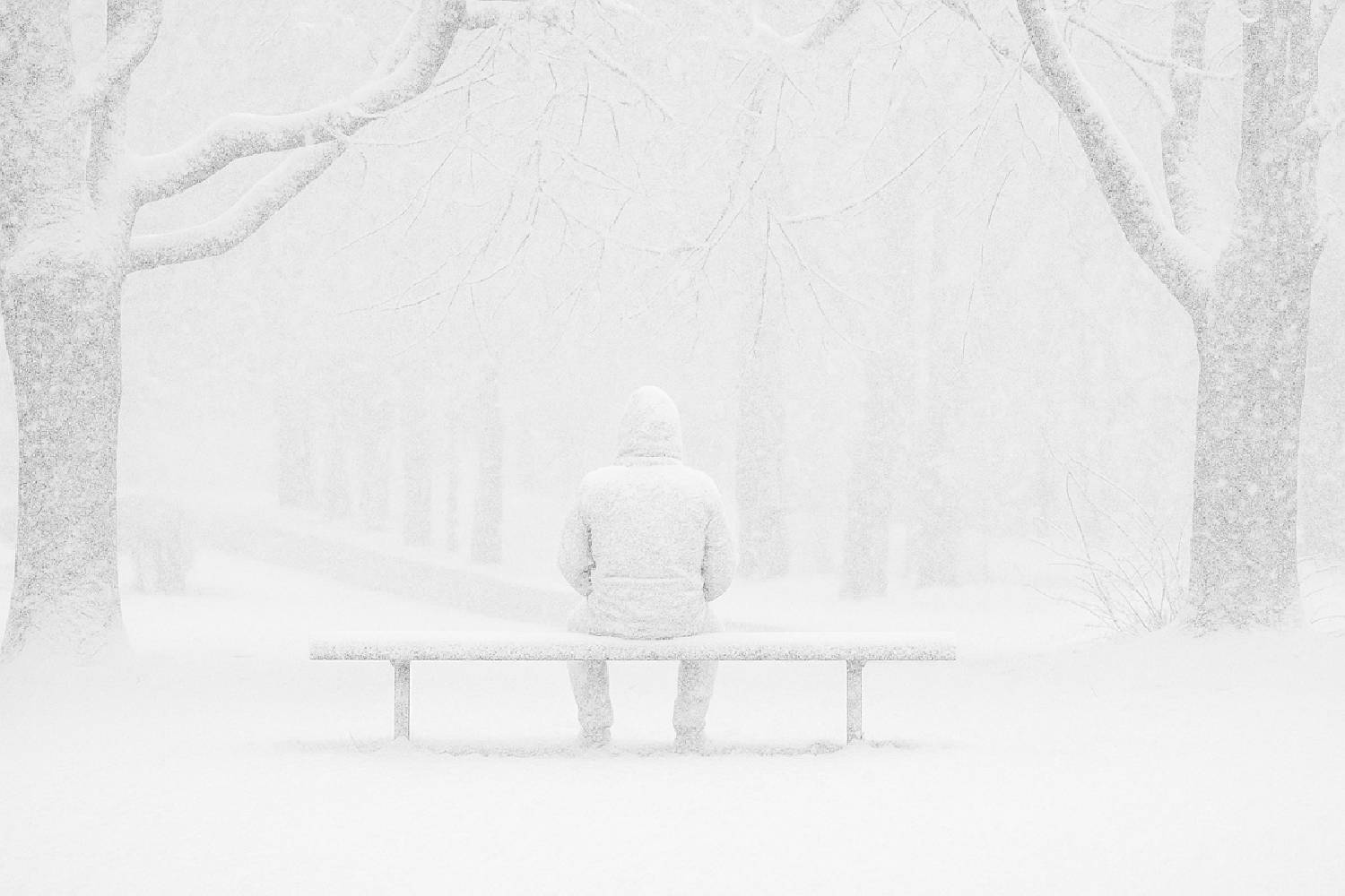 harbor freight cart filled with various supplies
